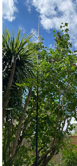 click to enlarge 6M dipole